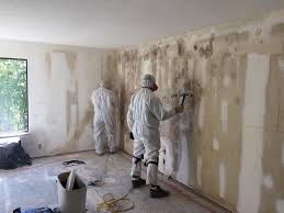 Best Mold Removal for HVAC Installations  in Woodfield, SC